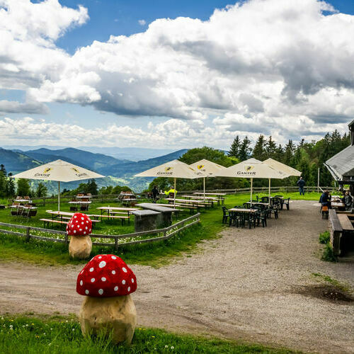 Dieses Foto zeigt die Sonnenterrasse des Almgasthaus Knpflesbrunnen mit dem Ausblick vom Knpflesbrunnen.