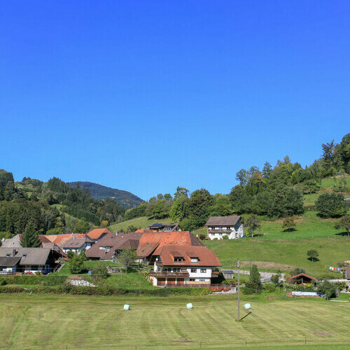 Wohnhuser in Wembach umringt von grnen Wiesen