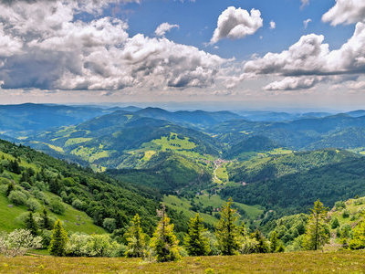 zum Pressebildarchiv ("Sommer in der Schwarzwaldregion Belchen") Beispielsbild aus der Kategorie "Sommer in der Schwarzwaldregion Belchen" unseres Pressebildarchivs