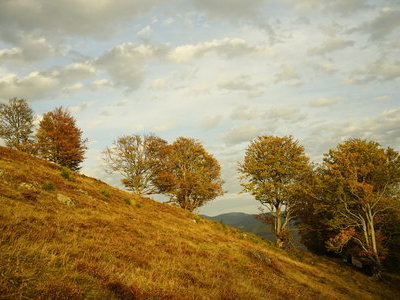zum Pressebildarchiv ("Herbst in der Schwarzwaldregion Belchen") Beispielsbild aus der Kategorie "Herbst in der Schwarzwaldregion Belchen" unseres Pressebildarchivs