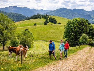 zum Pressebildarchiv ("Aktivurlaub im Schwarzwald") Beispielsbild aus der Kategorie "Aktivurlaub im Schwarzwald" unseres Pressebildarchivs