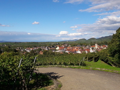 Wanderung durch die Weinberge zur Burgruine Neuenfels