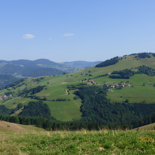 Blick auf die grünen Sommerwiesen und Wälder von Fröhnd  - 