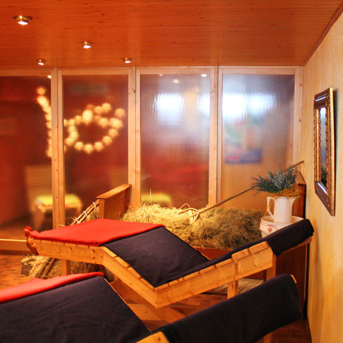 Wellness - Wellness -