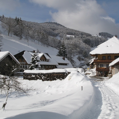 Winter bei uns vorm Haus mit Wanderweg - 