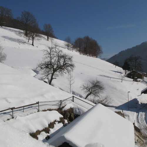 Winteraussicht vom Haus auf verschneiten Hang - 