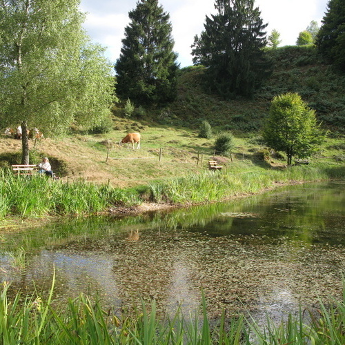 Letzbergweiher - mit schönen Sitzbänken - 