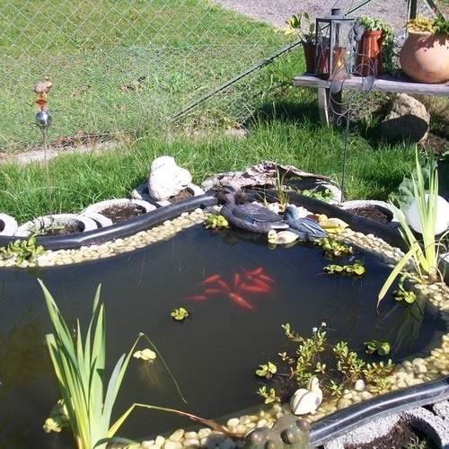 Der Teich - Der Teich -