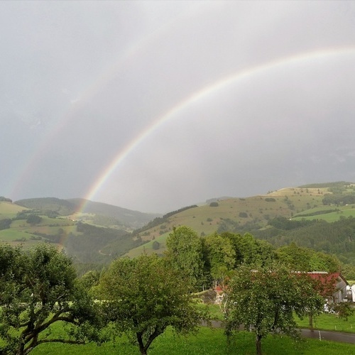 Auch Regentage bereiten Ihnen sicher viele schöne Momente. - Auch Regentage bereiten Ihnen sicher viele schöne Momente. -