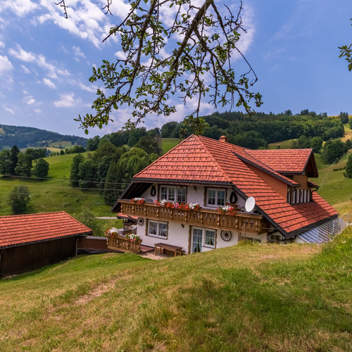 Blick auf das Haus Alpensicht umgeben von grünen Wiesen - 