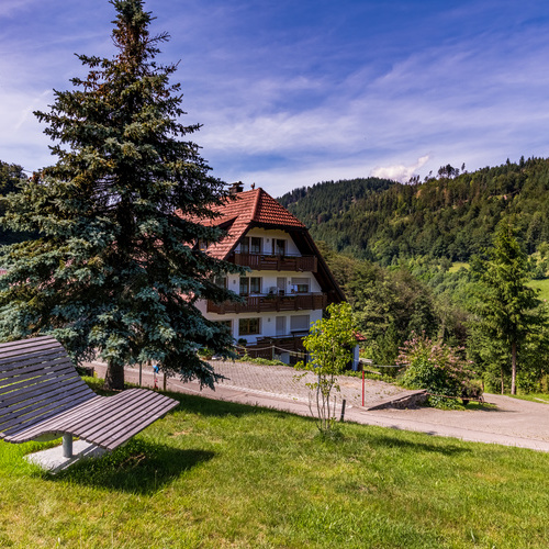 Himmelsliege neben einer Fichte im Hintergrund auf der gegenüberliegenden Straßenseite das Haus Bauer und grüne Wälder  - 