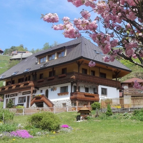 Außenansicht des Hauses mit Garten im Frühjahr - 