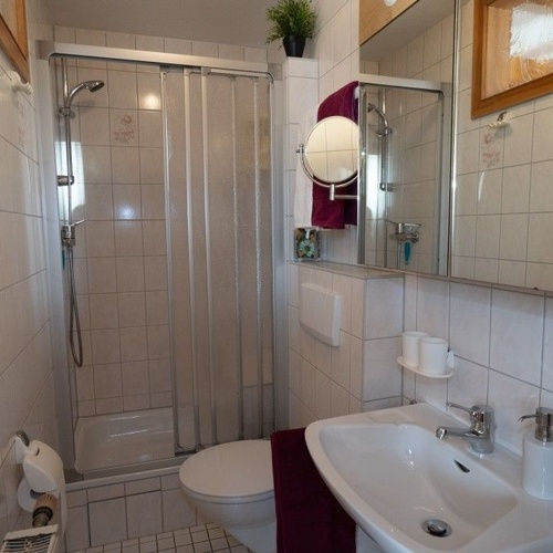 Badezimmer mit Dusche, WC und Waschbecken  - 