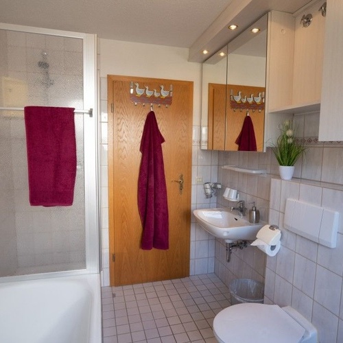 Badezimmer mit Dusche, WC und Waschbecken - 