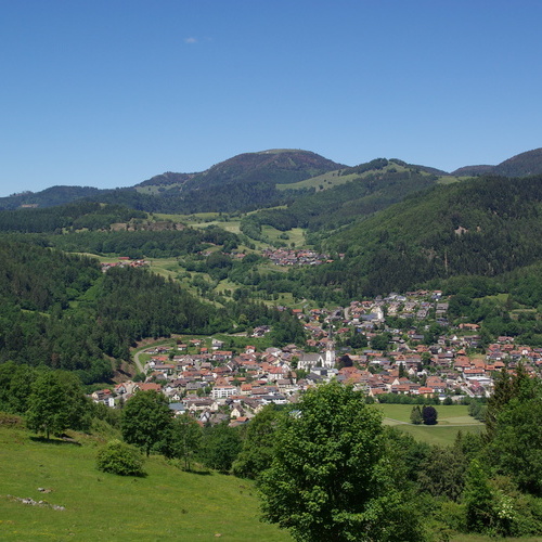 Blick zum Belchen - Blick zum Belchen -