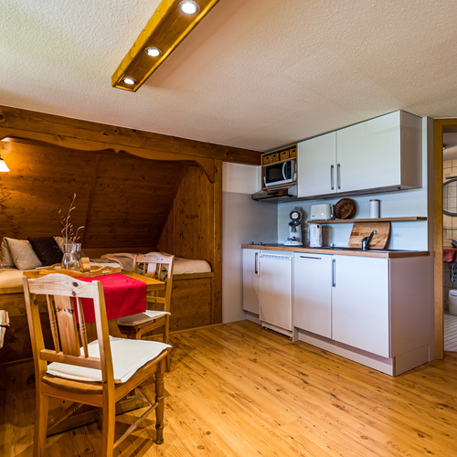 Ferienwohnung Kornblume 1- 2 Personen - gut ausgestatte Küchenzeile mit Spülmaschine, kein Backofen aber Mikrowelle mit Grillfunktion Ferienwohnung Kornblume 1- 2 Personen - gut ausgestatte Küchenzeile mit Spülmaschine, kein Backofen aber Mikrowelle mit Grillfunktion