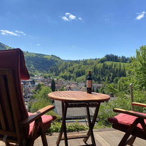 Herrlicher Blick von der Terasse ins Tal - Herrlicher Blick von der Terasse ins Tal -