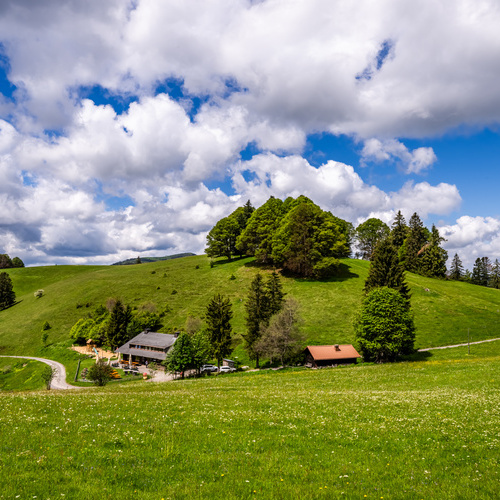 Das Almgasthaus Knöpflesbrunnen umgeben von grünen Sommerweiden - Das Almgasthaus Knöpflesbrunnen umgeben von grünen Sommerweiden -