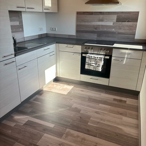 Die Küche mit Herd, Backofen und Spülbecken - Die Küche mit Herd, Backofen und Spülbecken -