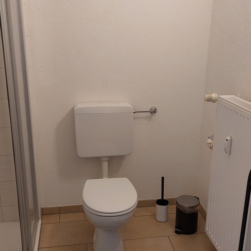 Das Bad mit Dusche und WC - Das Bad mit Dusche und WC -