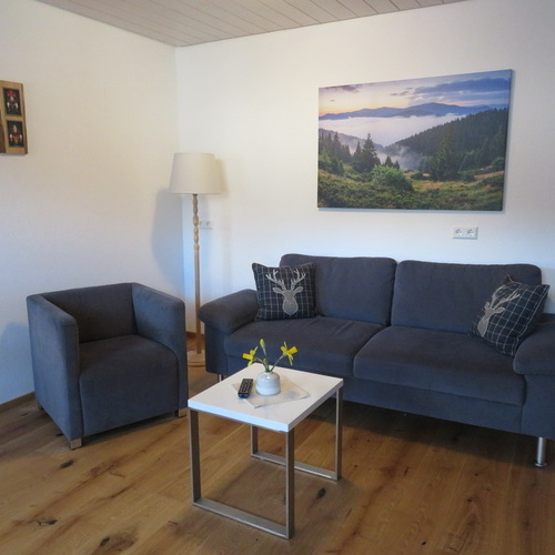 neu renoviertes Wohnzimmer mit bequemer Couch und Sessel - neu renoviertes Wohnzimmer mit bequemer Couch und Sessel -